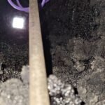 Cosar Oltenia - Curățări coșuri de fum (30)