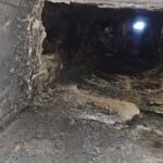 Cosar Oltenia - Curățări coșuri de fum (70)