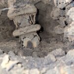 Cosar Oltenia - Curățări sobe, centrale, șeminee (11)