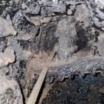 Cosar Oltenia - Curățări sobe, centrale, șeminee (5)