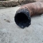 Cosar Oltenia - exemple asa nu (33)