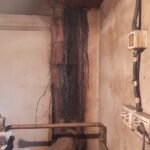 Cosar Oltenia - exemple asa nu (35)