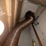 Cosar Oltenia - exemple asa nu (36)