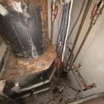 Cosar Oltenia - exemple asa nu (38)