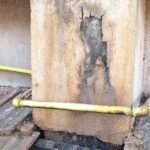 Cosar Oltenia - exemple asa nu (40)