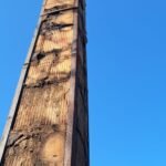 Cosar Oltenia - exemple asa nu (47)