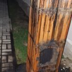 Cosar Oltenia - exemple asa nu (50)