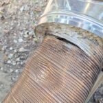 Cosar Oltenia - exemple asa nu (55)