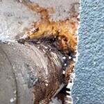 Cosar Oltenia - exemple asa nu (57)