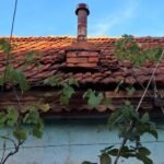 Cosar Oltenia - exemple asa nu (58)