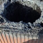 Cosar Oltenia - exemple asa nu (60)