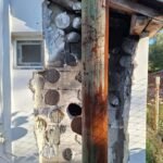 Cosar Oltenia - exemple asa nu (61)