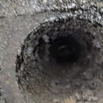 Cosar Oltenia - exemple asa nu (65)